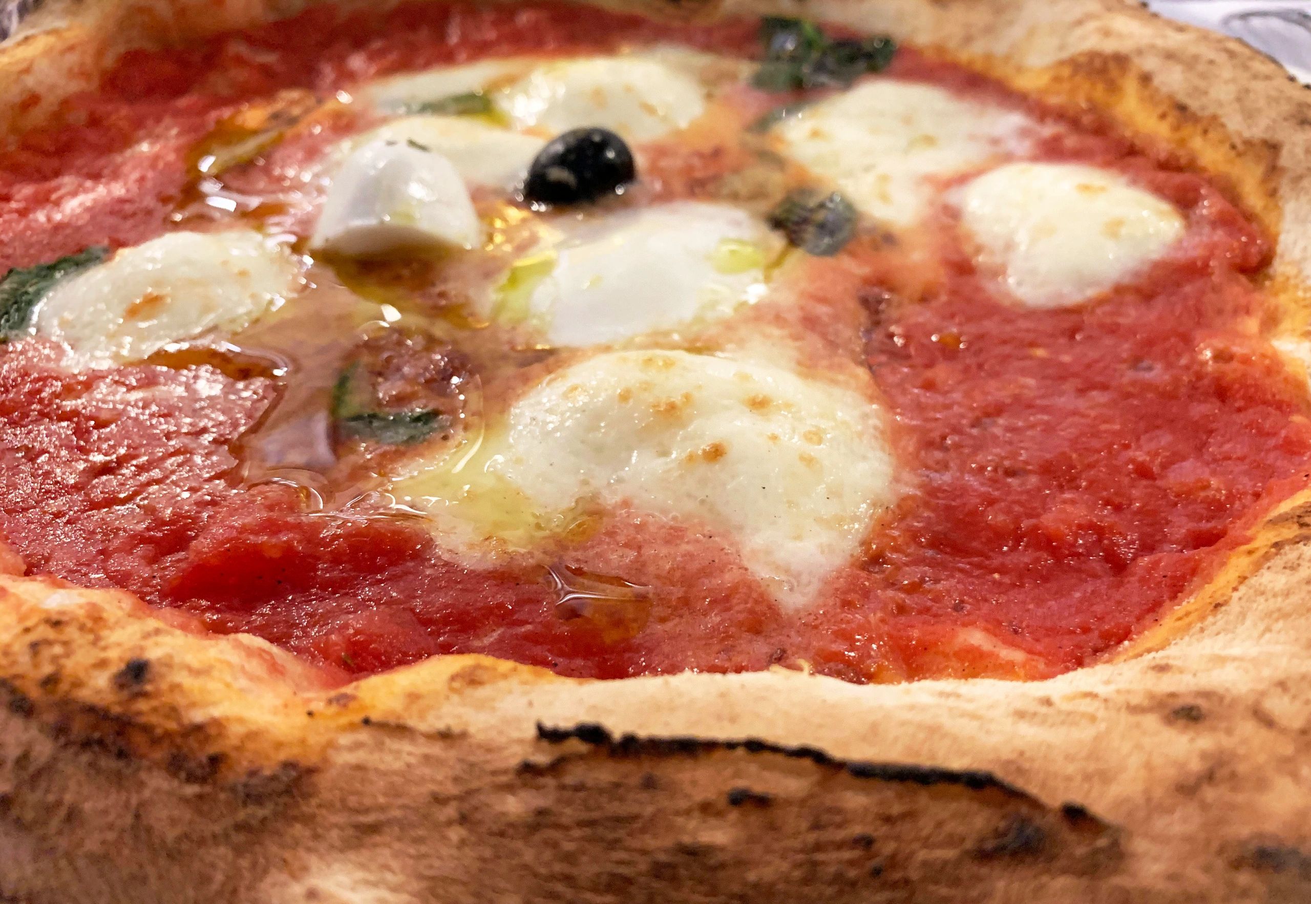 Wood-fired pizza with basil and olives
